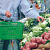 Image: Issues to be Considered during the 16th Series Australian Consumer Price Index Review, Dec 2009
