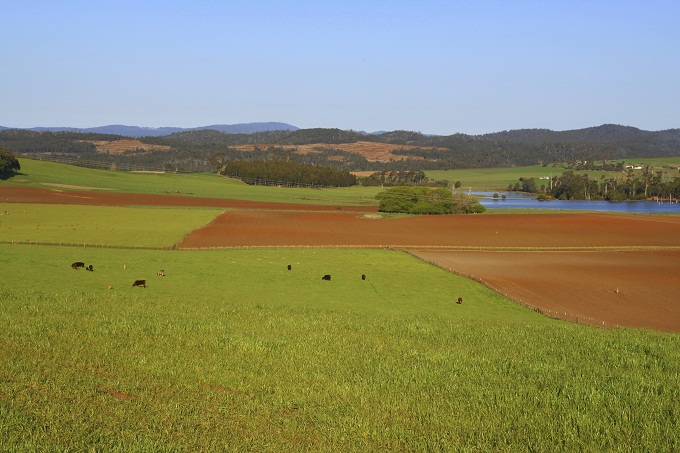 Image: Tasmanian farm scene
