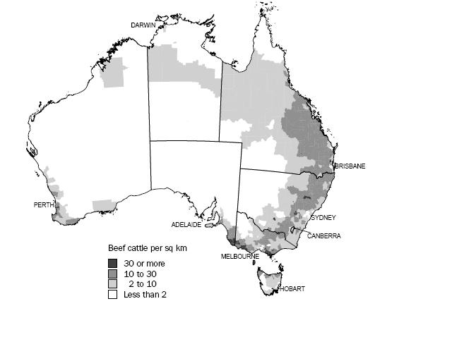 Beef Cattle - 00-01 Ag Census