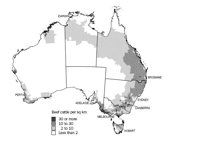 Beef Cattle - 05-06 Ag Census
