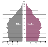 Image: Animated Population Pyramids