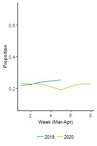 Image: Line graph showing that proportion of people with "out, return early" pattern was slightly lower in March-April 2020 compared to 2019.