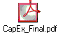 CapEx_Final.pdf