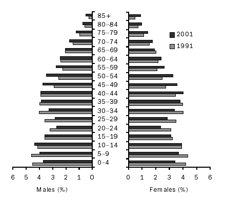 A population pyramid for the Lower Great Southern SD