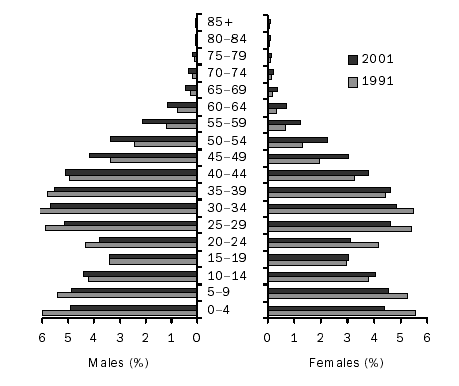 A population pyramid for the Pilbara SD
