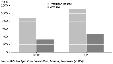 Graph: 16.16 Grain sorghum production and area, by state—2005–06