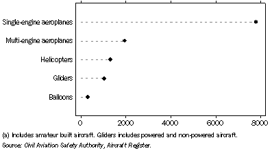 Graph: 24.28 Registered aircraft(a)—31 December 2006