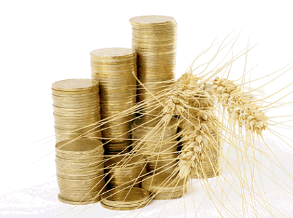 Image: Coins and wheat