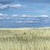 Image: Farm Management and Climate, 2006-07