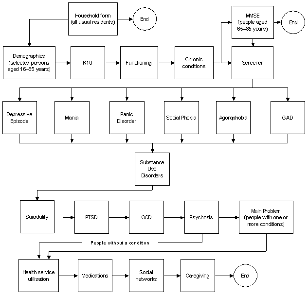 Diagram: 2007 Survey instrument flow chart