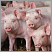 Image: TAS NRM - all commodities