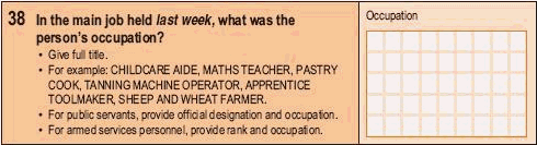 Screenshot - Census 2006 question 38