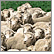 Image: Agricultural Census 2006