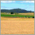 Image: Field