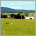 Image: Field