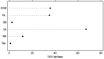 Graph: Area of Vines Bearing Grapes by State, 2005