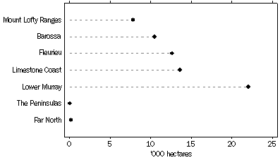 Graph: Area of Vines Bearing Grapes for South Australia by Region, 2005
