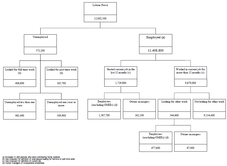 Conceptual Framework