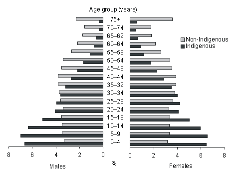 Diagram: POPULATION CONTEXT 