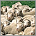 Image: The Ag Census is almost here