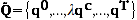Represents the set of quantity vectors after rescaling