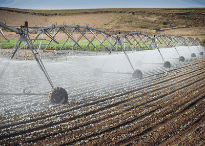Image: Irrigator