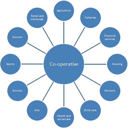 6. Co-operative business activities in Australia(a)