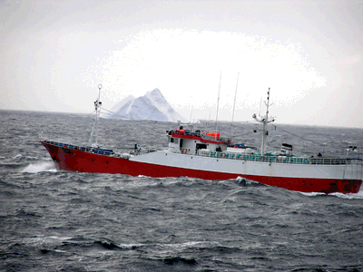 The Uruguayan-flagged fishing vessel Viarsa 1 was pursued across the Southern Ocean, beyond the tip of South Africa and into the South Atlantic Ocean for more than 21 days, in August 2003. � Customs.
