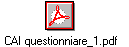 CAI questionniare_1.pdf