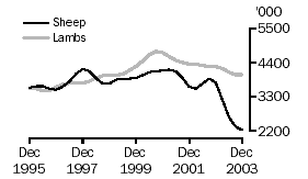 Graph of sheep and lambs slaughtered, Dec 1995 to Dec 2003