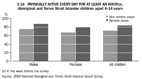 3.16 PHYSICALLY ACTIVE EVERY DAY FOR AT LEAST AN HOUR(a), Aboriginal and Torres Strait Islander children aged 4-14 years