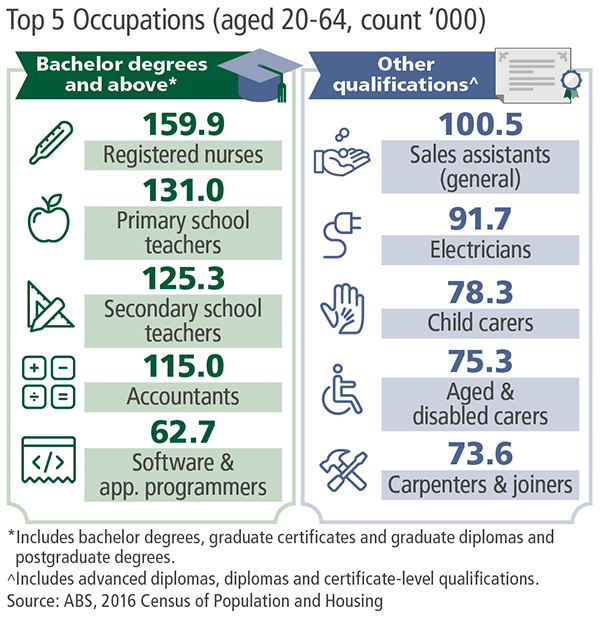 Infographic showing the top five occupations for people with different levels of qualifications.