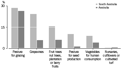 Graph 3: Water use in Crop irrigation, by proportion of total volume applied, Selected crops - 2005-6