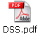 DSS.pdf