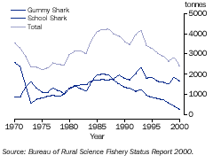 Graph - Southern shark fishery catch