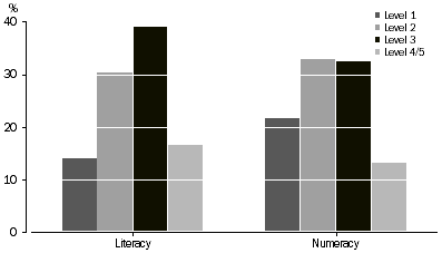 Graph: Proportion at each skill level, literacy and numeracy