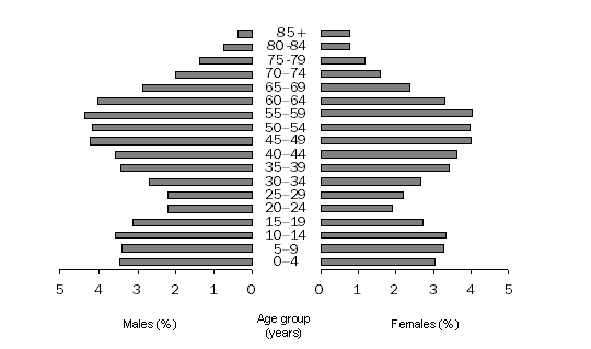 Graph: POPULATION BY AGE GROUP (%), Southern, 2007