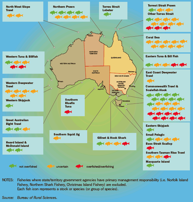 Diagram: 17.10 Status of Commonwealth-Managed or jointly-managed fisheries resources—2006