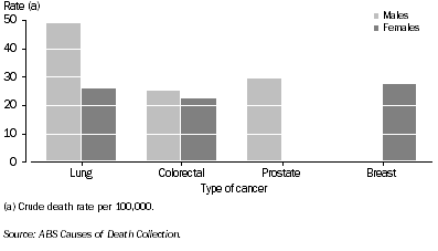 Graph: Death Rates for Selected Cancers for year 2002 