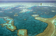 Great Barrier Reef (World Heritage Area)