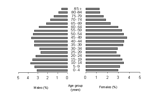 Graph: POPULATION BY AGE GROUP (%), Northern, 2007