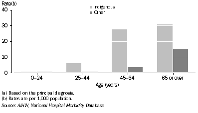 Graph: Male rates of hospitalisation for diabetes(a), by Indigenous status—2003–04