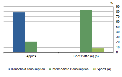 Graph 3: Percentage of Intermediate Consumption, Household Consumption and Exports to total supply at Purchasers Prices, Apples and Beef Cattle, 2013-14 