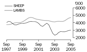 Graph of number of sheep and lambs slaughtered, September 1997 to September 2005