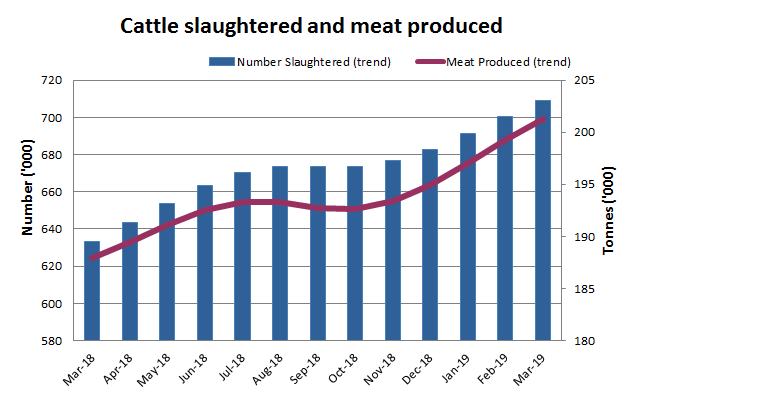 Image: Graph showing numbers of cattle slaughtered and meat produced over last 13 months