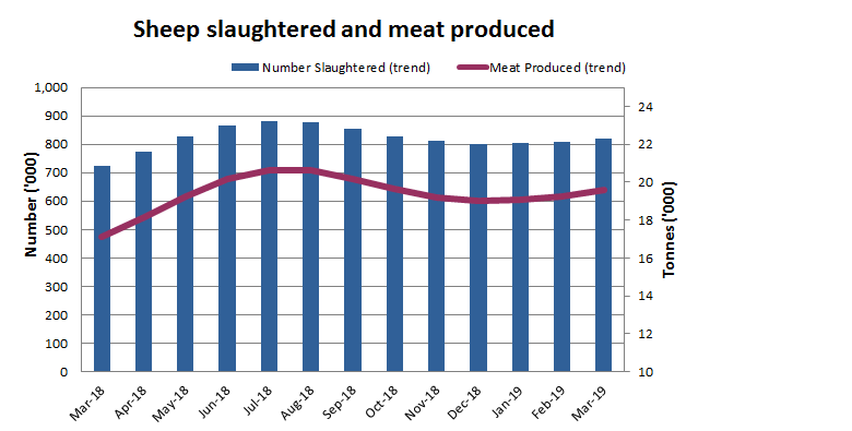Image: Graph showing numbers of sheep slaughtered and meat produced over last 13 months