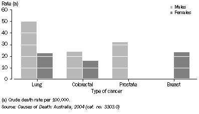 Graph: Death rates for selected cancers (a) - 2004