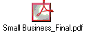 Small Business_Final.pdf