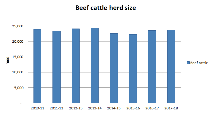 Image: Graph showing the change in beef cattle herd size over the past 8 years
