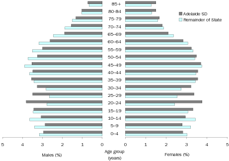 Diagram: Age and sex distribution, percentage, SA, 2008